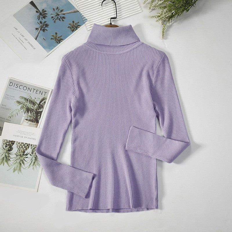 Aelia Ribbed Turtleneck Sweater
