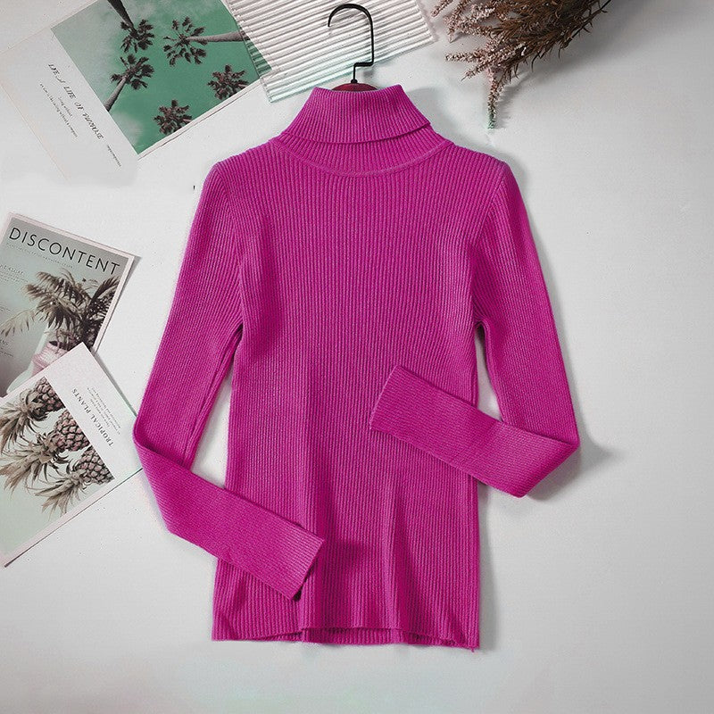 Aelia Ribbed Turtleneck Sweater