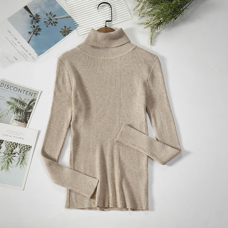 Aelia Ribbed Turtleneck Sweater