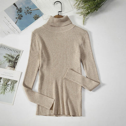 Aelia Ribbed Turtleneck Sweater
