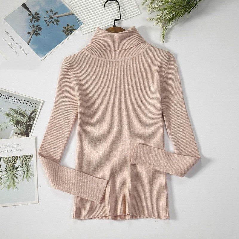 Aelia Ribbed Turtleneck Sweater