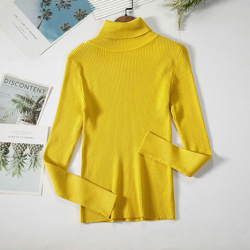 Aelia Ribbed Turtleneck Sweater