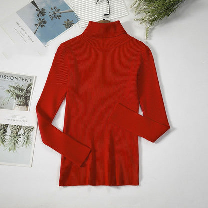 Aelia Ribbed Turtleneck Sweater