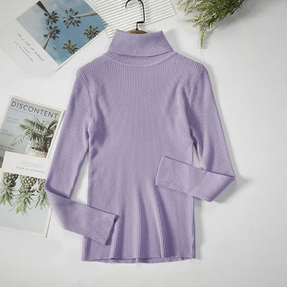Aelia Ribbed Turtleneck Sweater