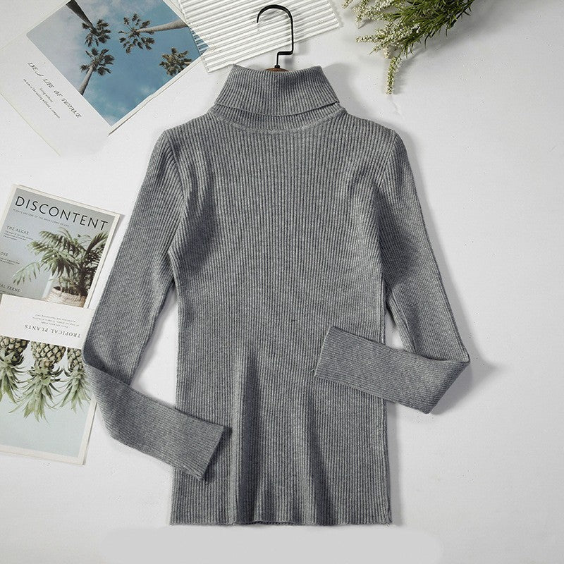 Aelia Ribbed Turtleneck Sweater