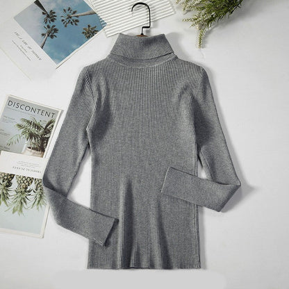 Aelia Ribbed Turtleneck Sweater