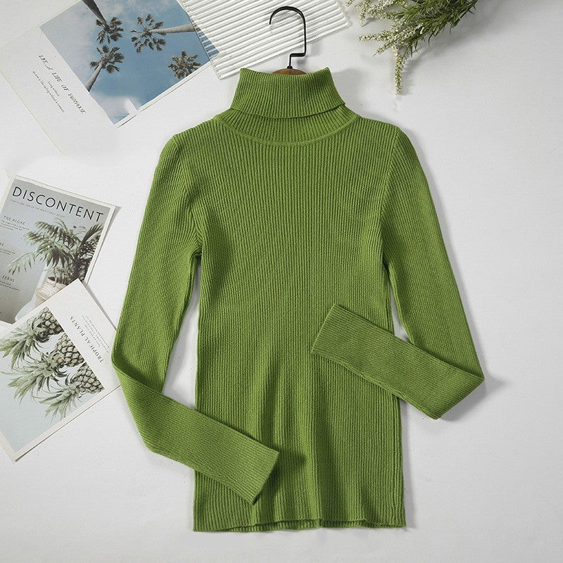 Aelia Ribbed Turtleneck Sweater