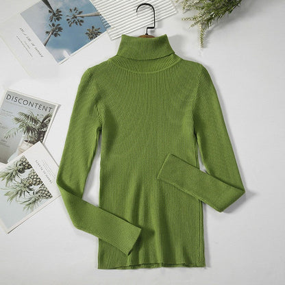 Aelia Ribbed Turtleneck Sweater