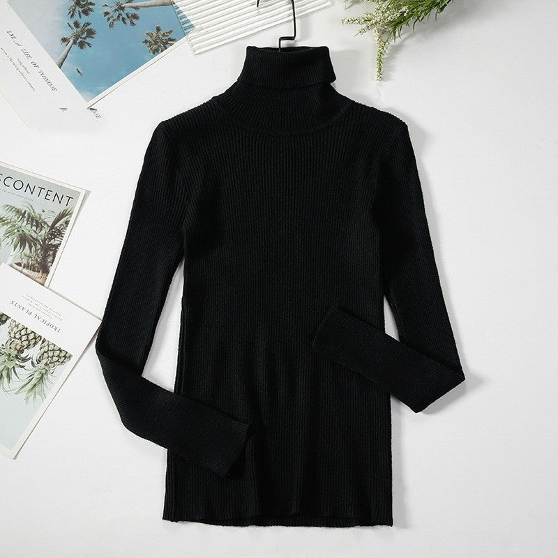 Aelia Ribbed Turtleneck Sweater