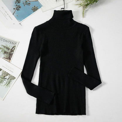 Aelia Ribbed Turtleneck Sweater