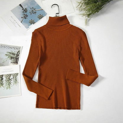 Aelia Ribbed Turtleneck Sweater