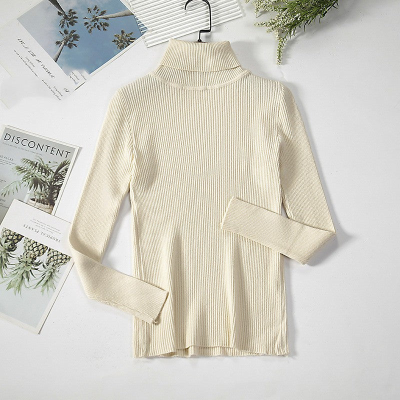 Aelia Ribbed Turtleneck Sweater