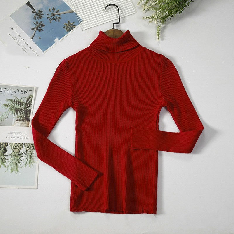 Aelia Ribbed Turtleneck Sweater