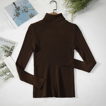 Aelia Ribbed Turtleneck Sweater