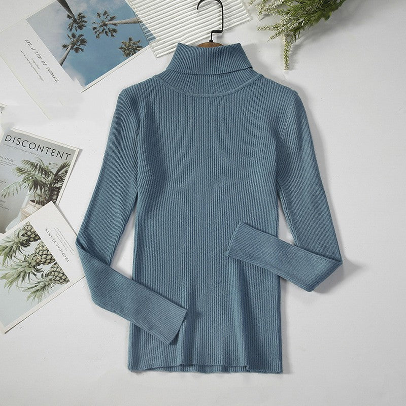Aelia Ribbed Turtleneck Sweater
