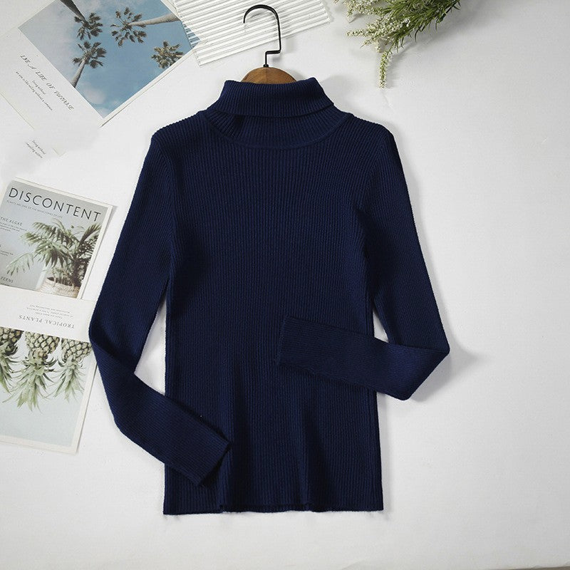 Aelia Ribbed Turtleneck Sweater