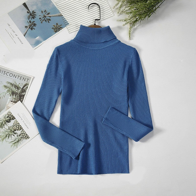 Aelia Ribbed Turtleneck Sweater