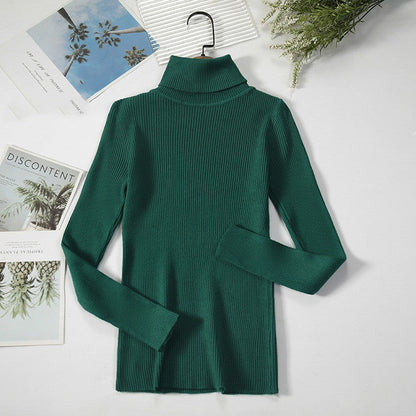 Aelia Ribbed Turtleneck Sweater