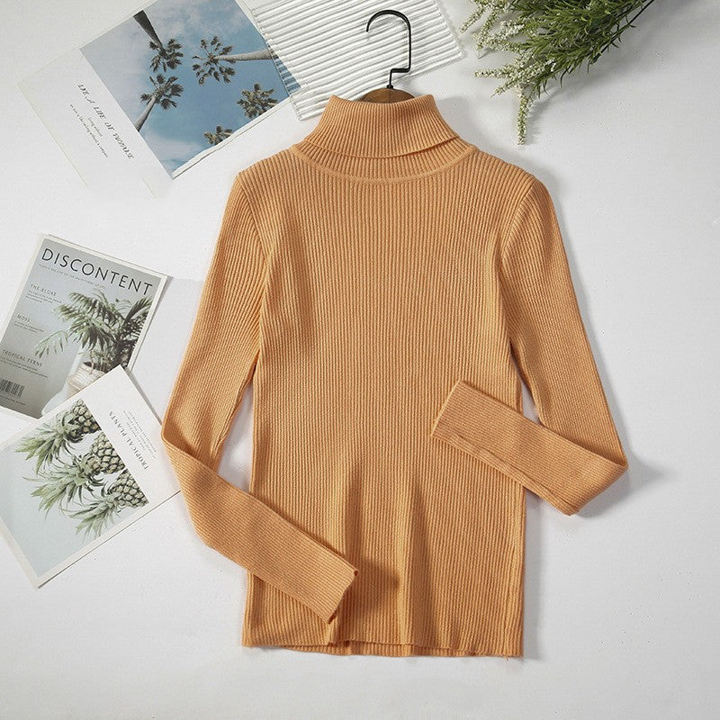 Aelia Ribbed Turtleneck Sweater