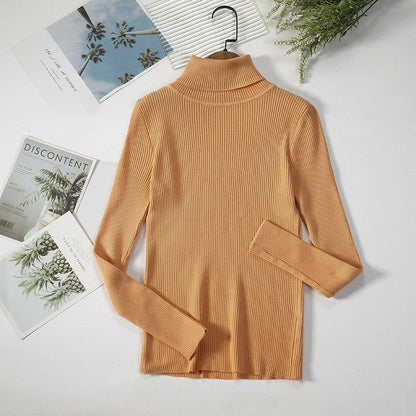 Aelia Ribbed Turtleneck Sweater