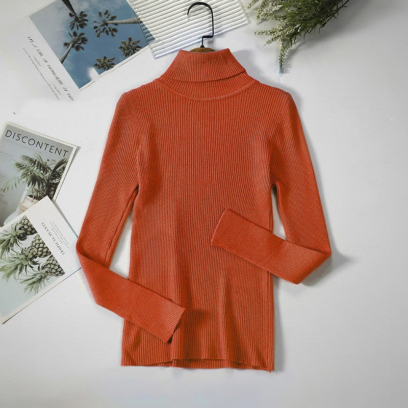 Aelia Ribbed Turtleneck Sweater