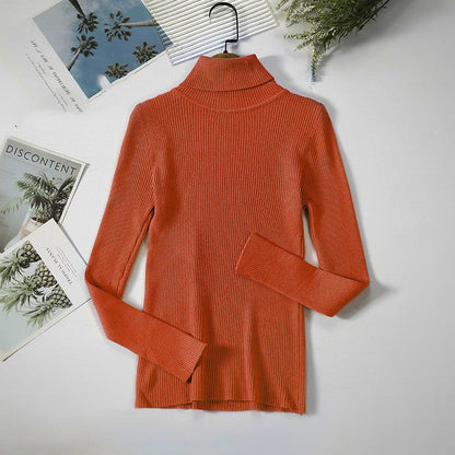 Aelia Ribbed Turtleneck Sweater