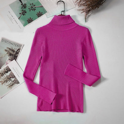 Aelia Ribbed Turtleneck Sweater