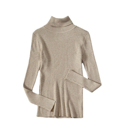 Aelia Ribbed Turtleneck Sweater
