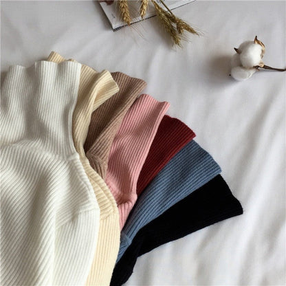 Aelia Ribbed Turtleneck Sweater