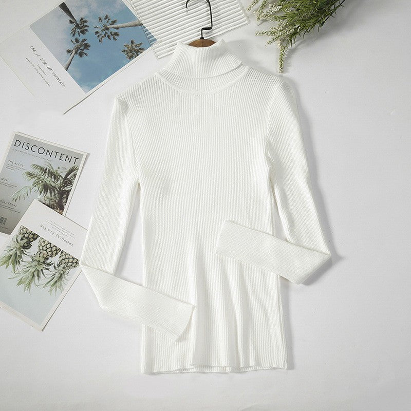 Aelia Ribbed Turtleneck Sweater