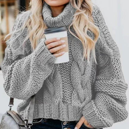 Elorie Crochet Turtleneck Sweater