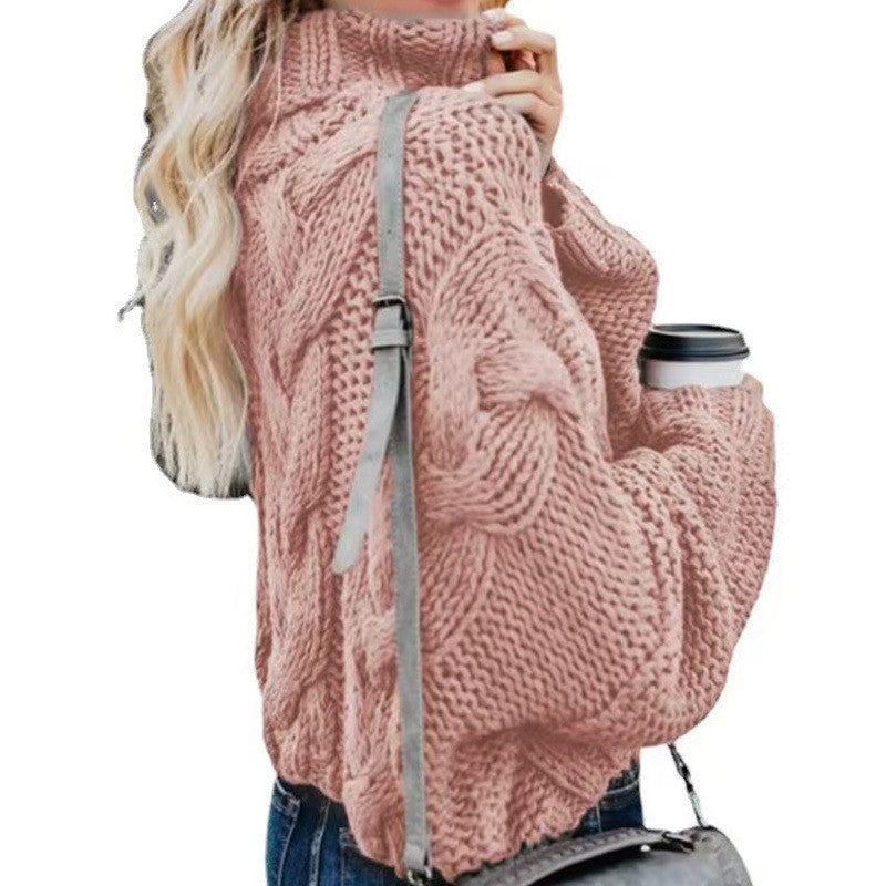 Elorie Crochet Turtleneck Sweater