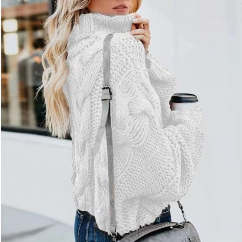 Elorie Crochet Turtleneck Sweater